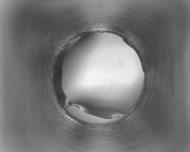 X0000053000385200508051140