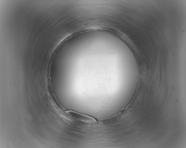 X0000053000386200508051140