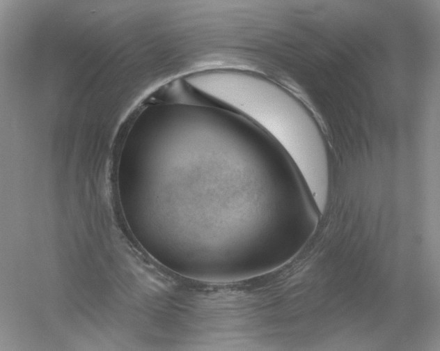 X0000053000387200508051140