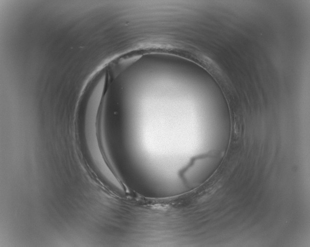 X0000053000388200508051140