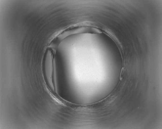 X0000053000389200508051140