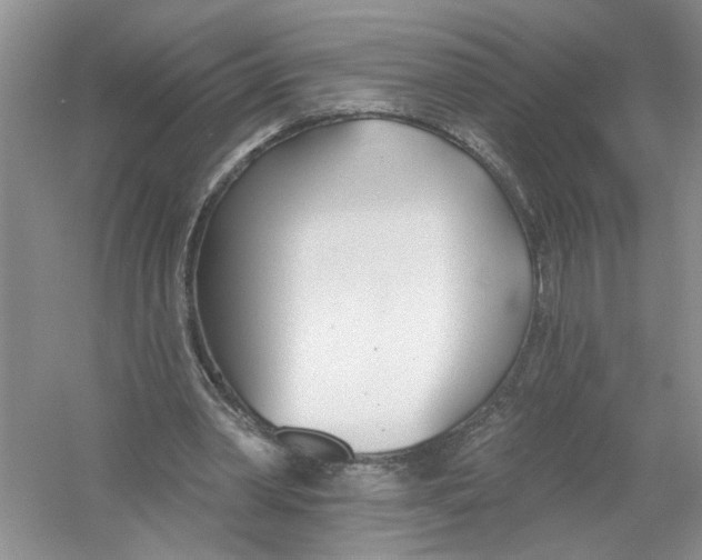 X0000053000390200508051140