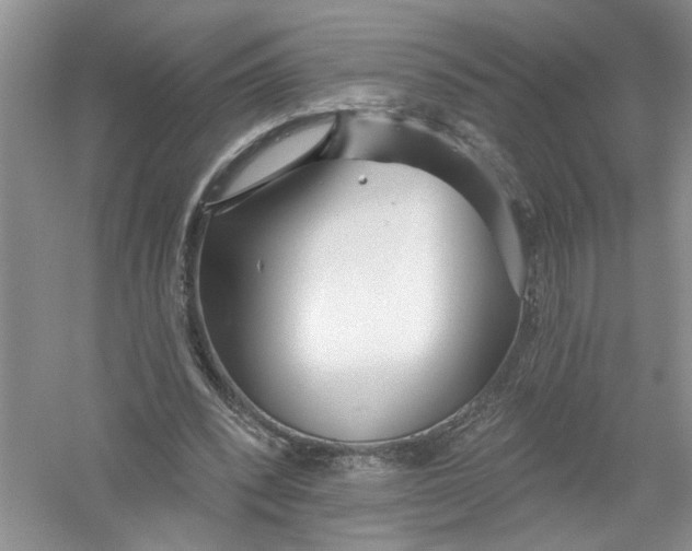 X0000053000392200508051140