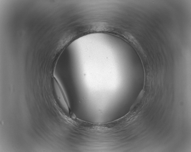 X0000053000393200508051140