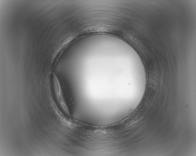 X0000053000394200508051140