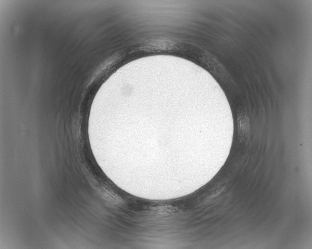 X0000053000396200508051139