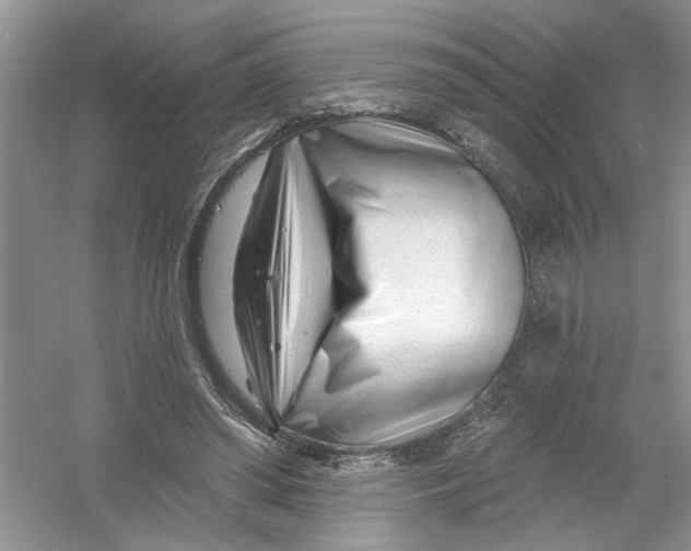 X0000053000398200508051139