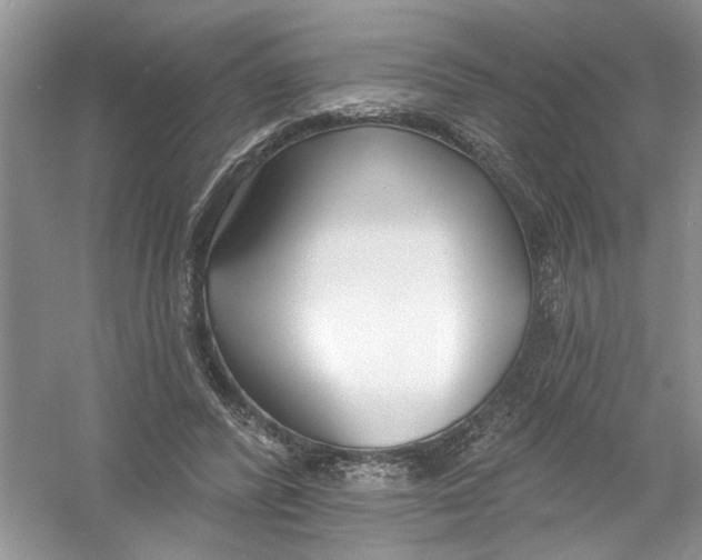 X0000053000400200508051139