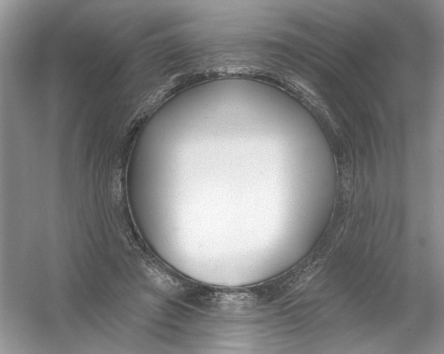 X0000053000401200508051139