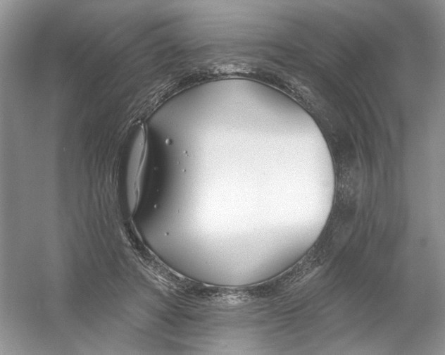 X0000053000402200508051139