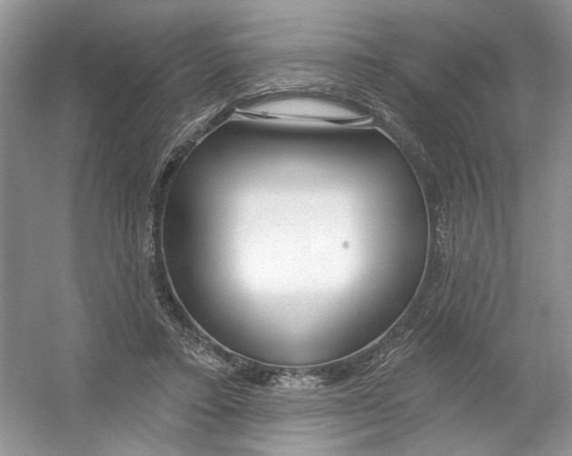 X0000053000403200508051139