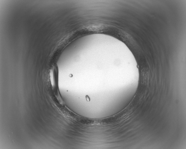 X0000053000404200508051139