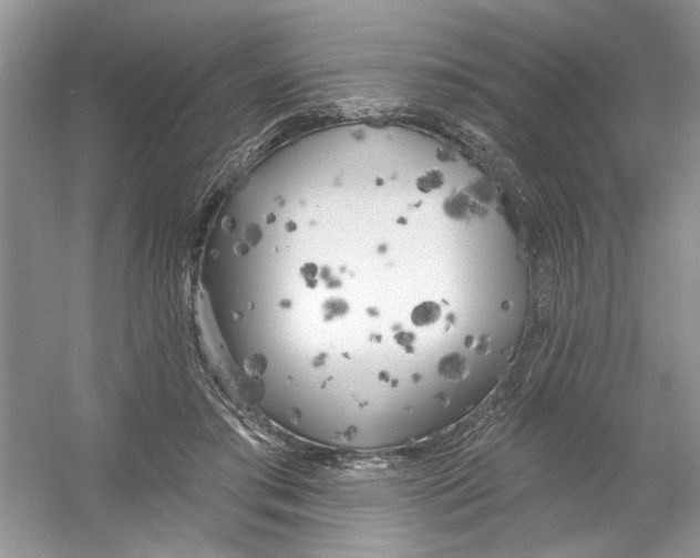 X0000053000405200508051139