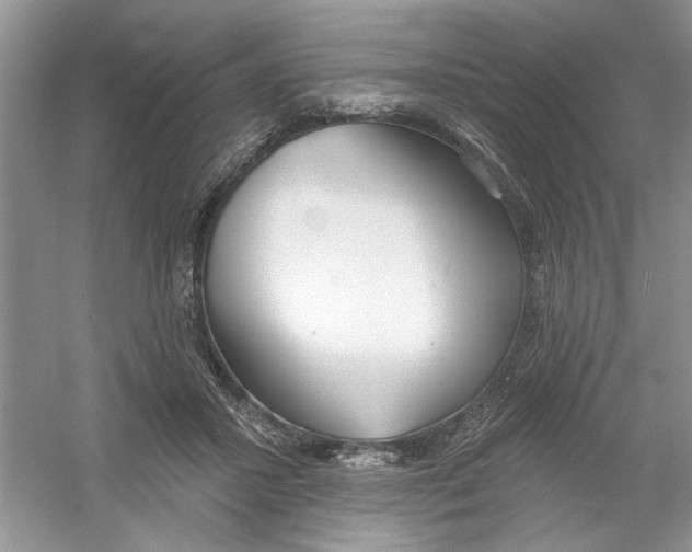 X0000053000407200508051139