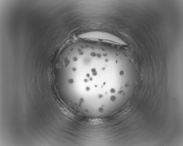 X0000053000409200508051139