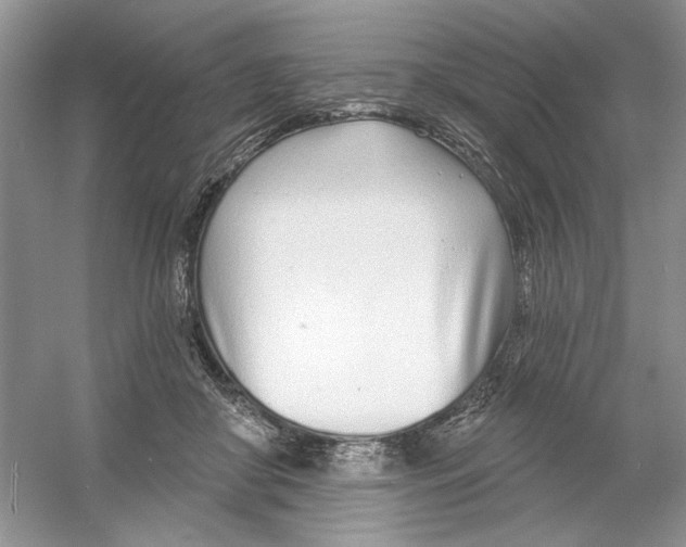 X0000053000410200508051139