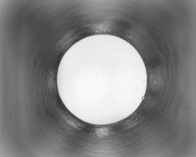 X0000053000411200508051139