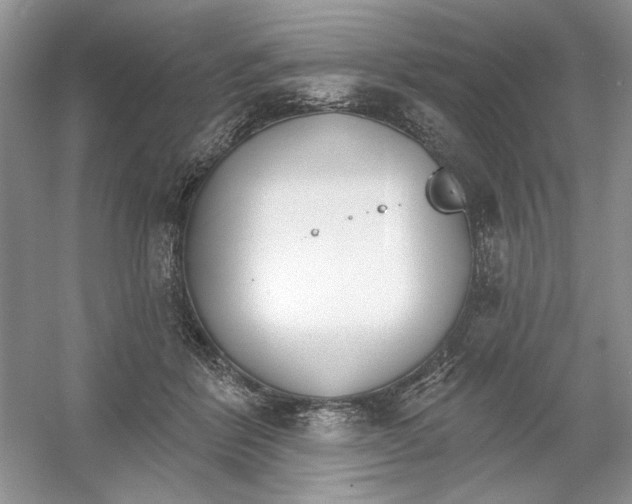 X0000053000412200508051139