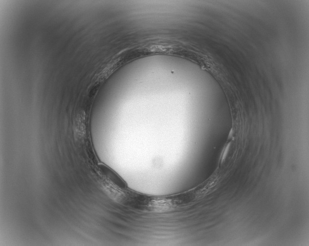 X0000053000413200508051139