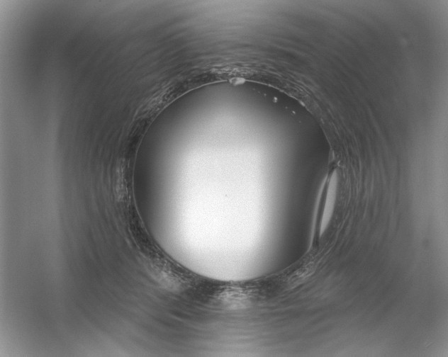 X0000053000416200508051139