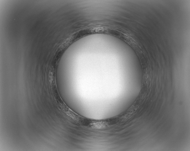 X0000053000417200508051139