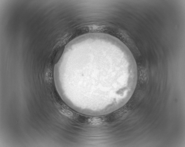 X0000053000419200508051139