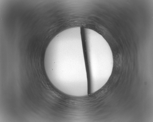 X0000053000420200508051139