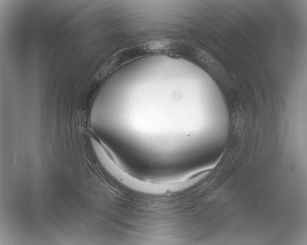 X0000053000421200508051139