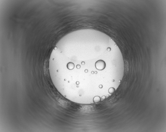 X0000053000422200508051139