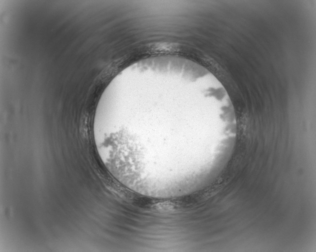 X0000053000423200508051139