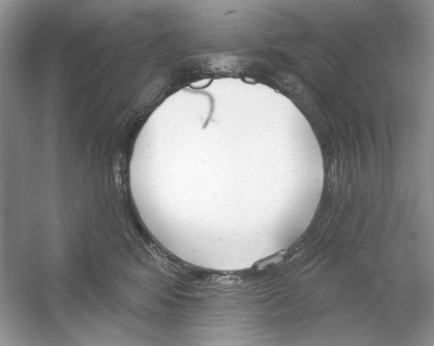 X0000053000424200508051139