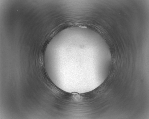 X0000053000425200508051139