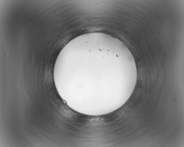 X0000053000426200508051139