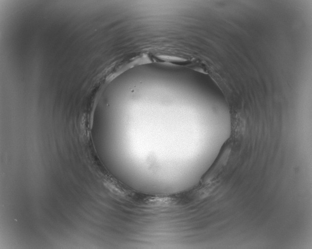 X0000053000428200508051139