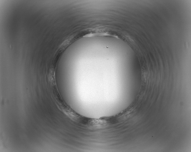 X0000053000429200508051139