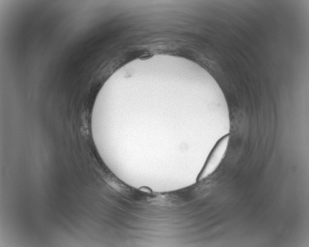 X0000053000430200508051139