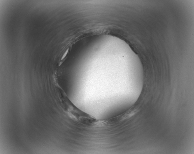 X0000053000432200508051139