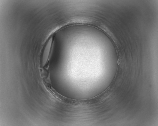 X0000053000434200508051138