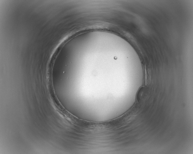 X0000053000435200508051138