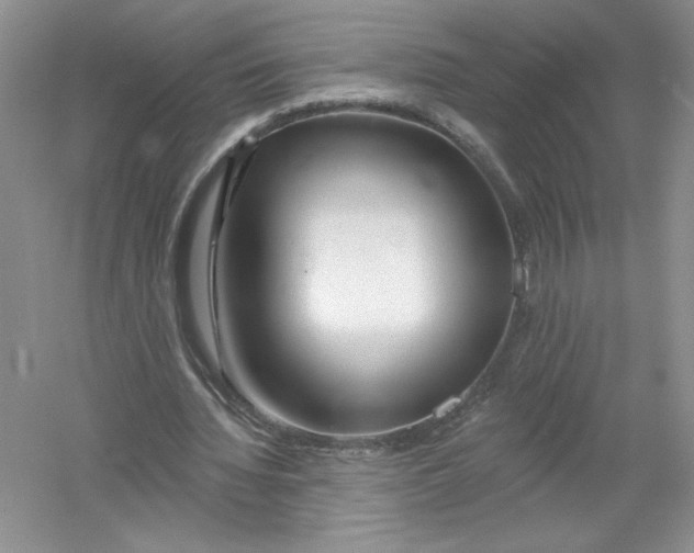 X0000053000436200508051138