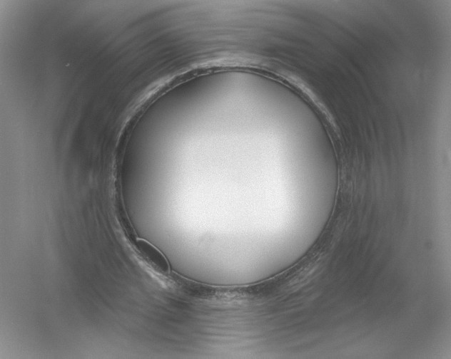 X0000053000437200508051138