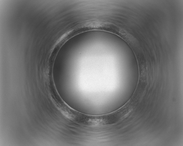 X0000053000440200508051138