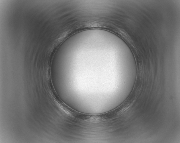 X0000053000441200508051138