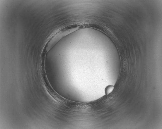 X0000053000443200508051138