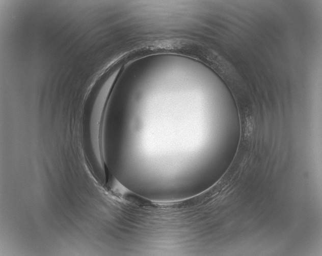 X0000053000444200508051138