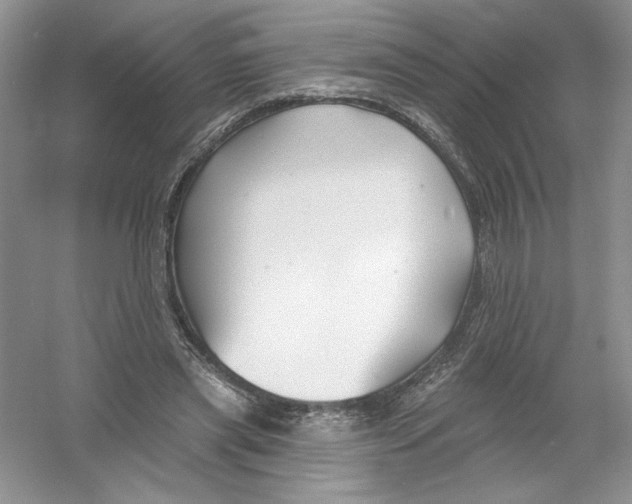 X0000053000445200508051138