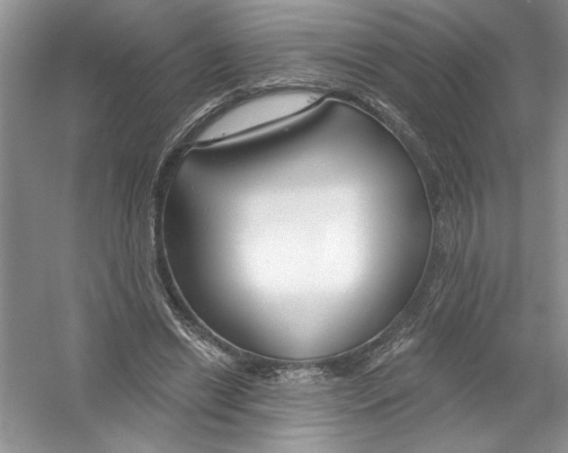 X0000053000446200508051138