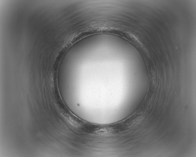 X0000053000447200508051138