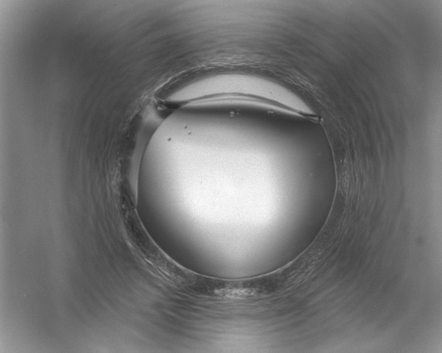 X0000053000448200508051138