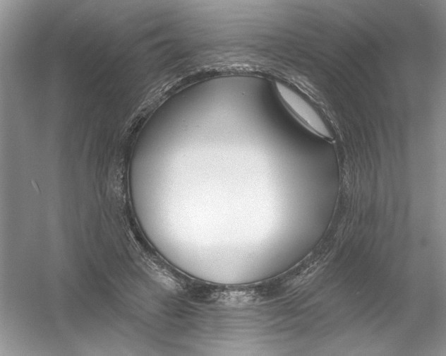 X0000053000449200508051138